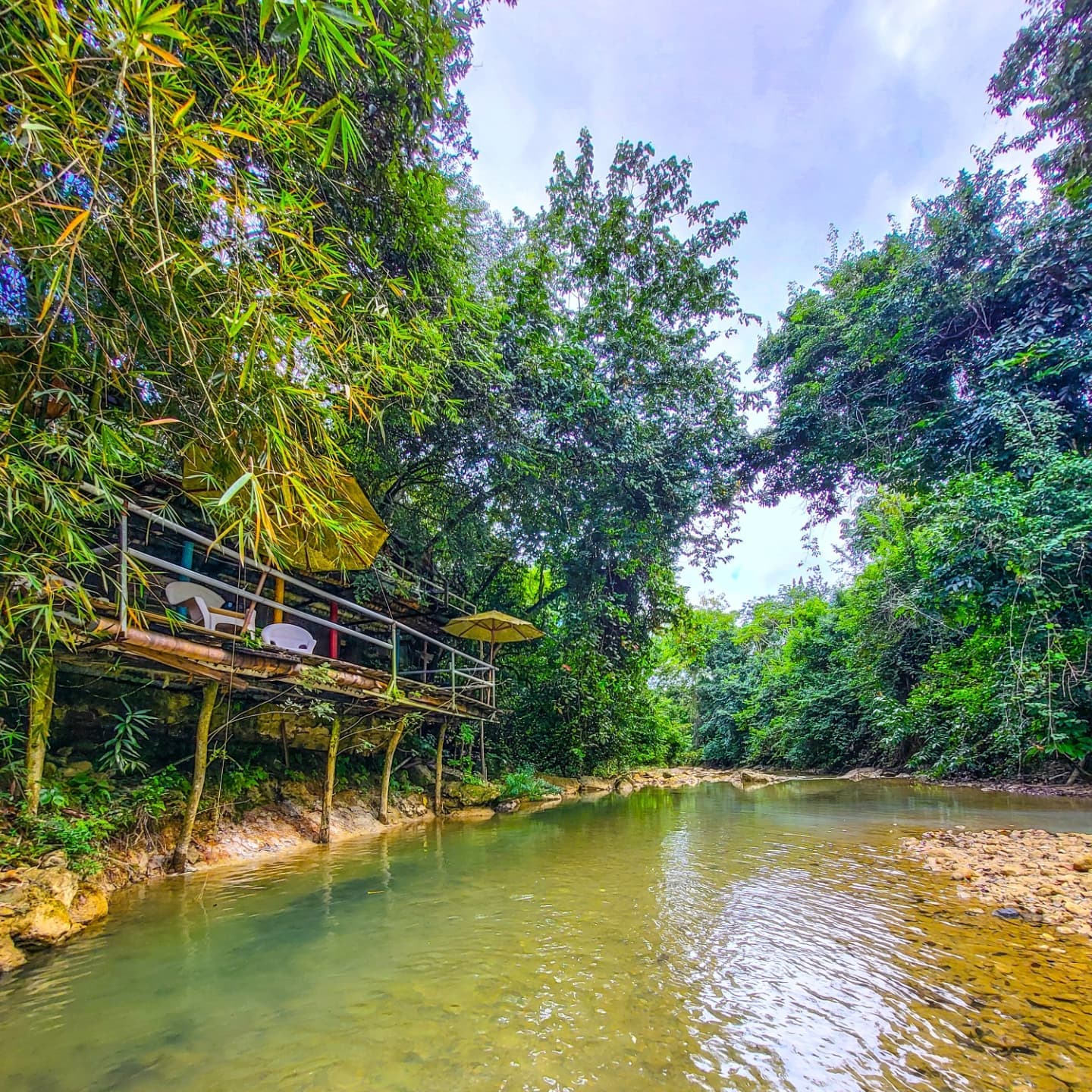 3in1: Los Haitises N. Park + Waterfalls + Montaña Redonda — Guided tour and outdoor activity