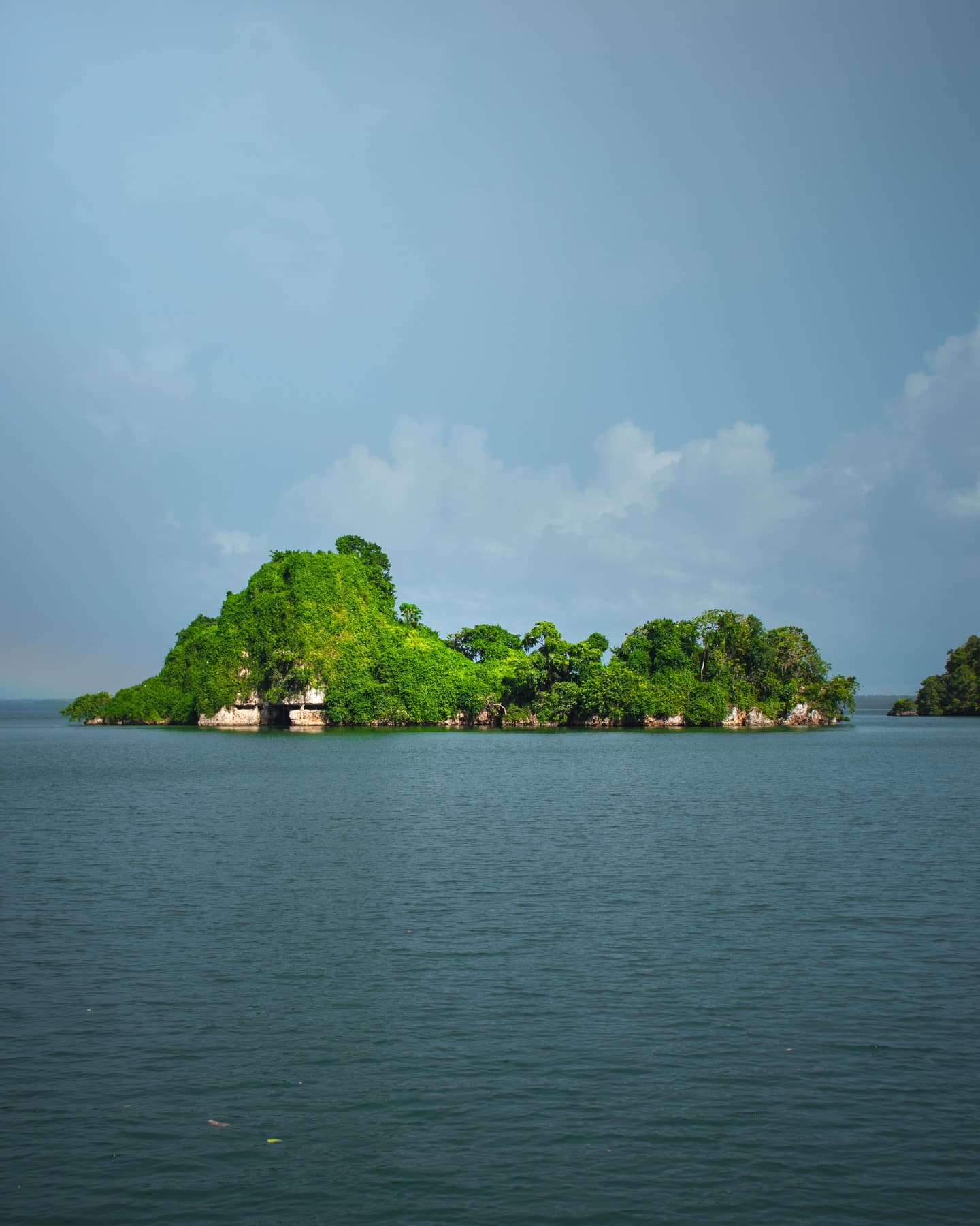 Los Haitises National Park: Private Boat Tour from Caño Hondo — Guided tour and outdoor activity
