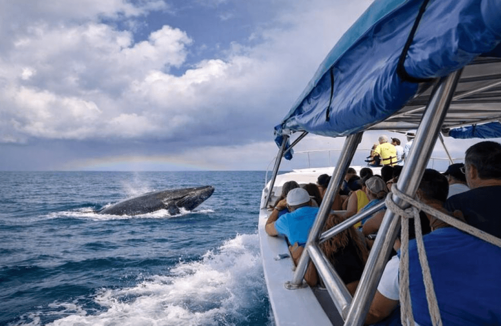 Samaná Nature Trip: A Multi-Day Travel Planning Guide