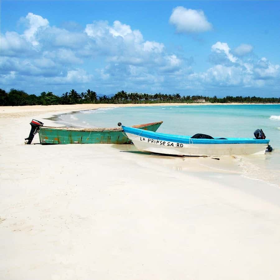 Von Santo Domingo: Katamaran-Kreuzfahrt zur Insel Saona mit Mittagessen — Guided tour and outdoor activity