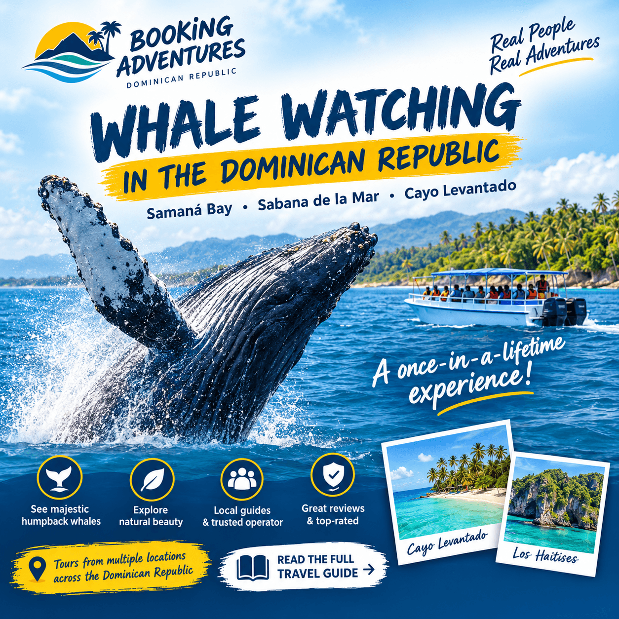 Best Whale Watching in the Dominican Republic | Booking Adventures