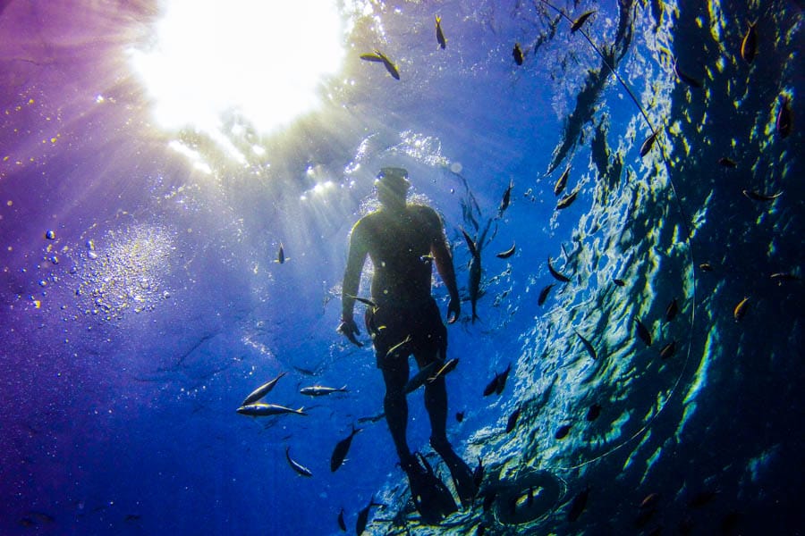 Punta Cana: Full-Day Snorkeling Tour to Catalina Island - Image 10