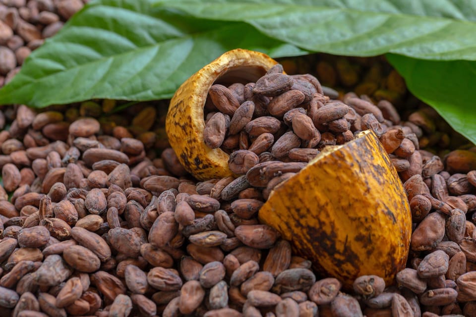 Punta Cana: Higuey, Coffee and Cocoa Tasting Tour with Lunch – Bild 14