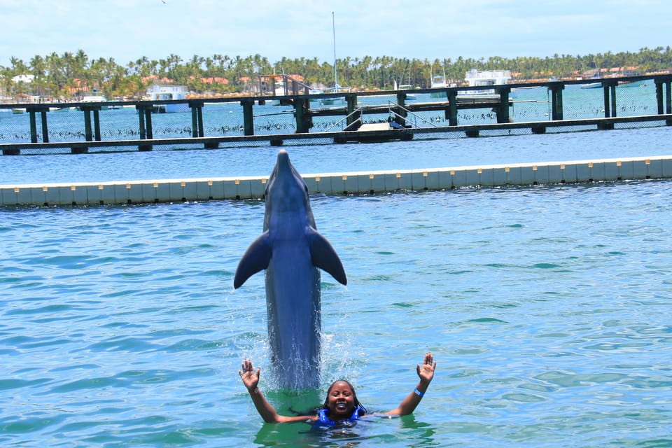 Dolphin Swim in Punta Cana – Best 60-min Dolphin Discovery - Image 18