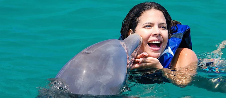 Dolphin Swim in Punta Cana – Best 60-min Dolphin Discovery - Image 2