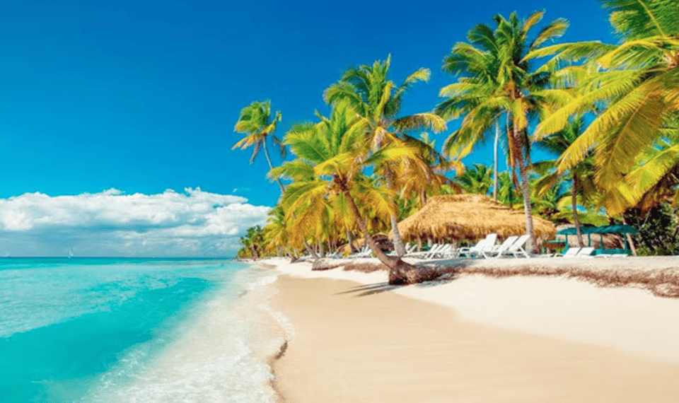 Excursion to Saona Island: Tropical Paradise whit Lunch - છબી 13