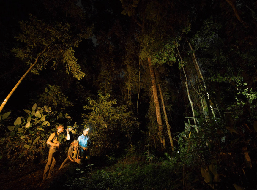 Los Haitises Night Hike In The Rainforest - Gambar 8