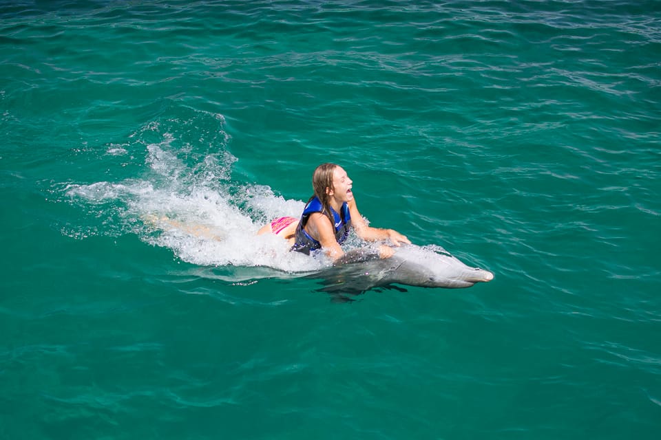 Punta Cana: Dolphin Explorer Swims and Interactions - Bild 7