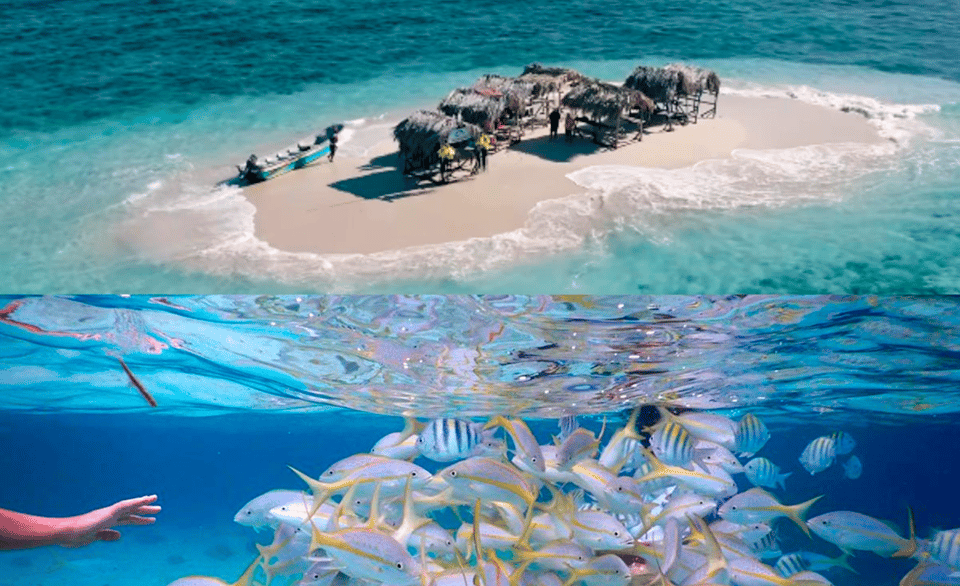 Cayo Arena: Paradise Island and Mangroves Tour - Image 6