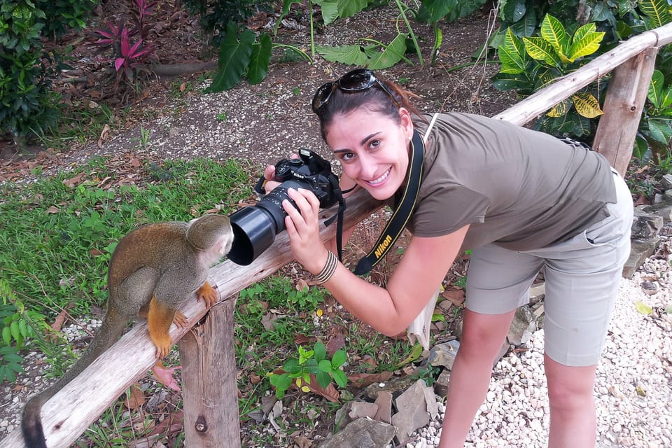 Punta Cana: Ziplines Adventures & Monkeyland Entry - Image 7
