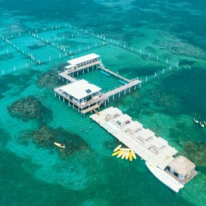 Punta Cana: Reef Explorer Access w/ Sharks & Stingrays Swim