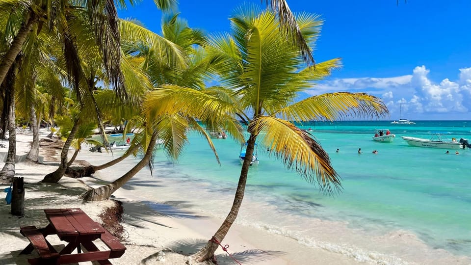 Punta Cana: Boat Tour to Isla Saona, Open Bar & Buffet Lunch - Gambar 11