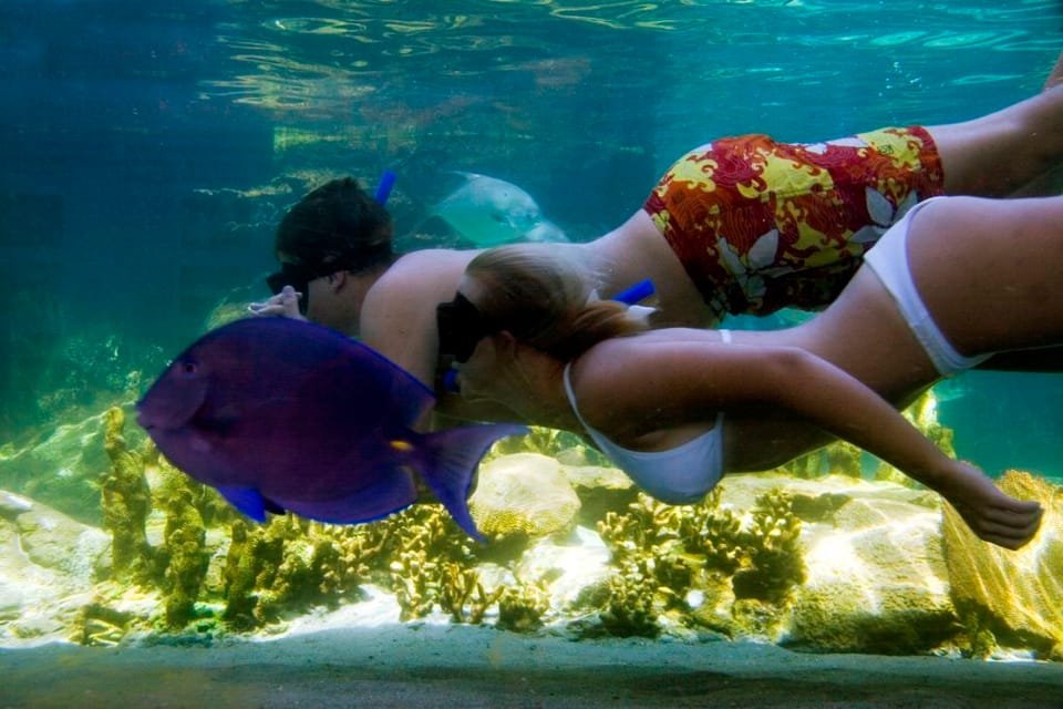 Puerto Plata: Ocean World Adventure Park Day Pass - Image 3