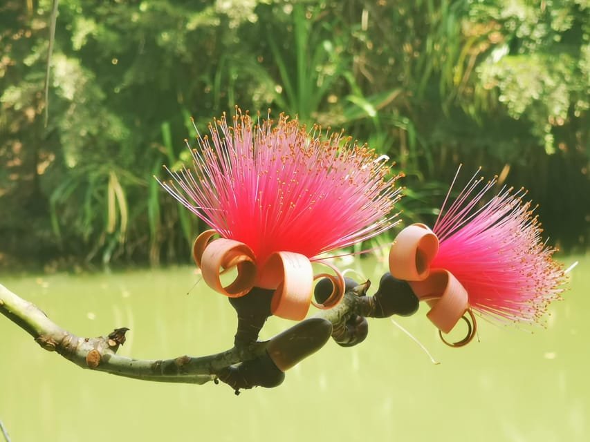 Puerto Plata: Taino Valley and Dominican Flavor Experience - Image 3