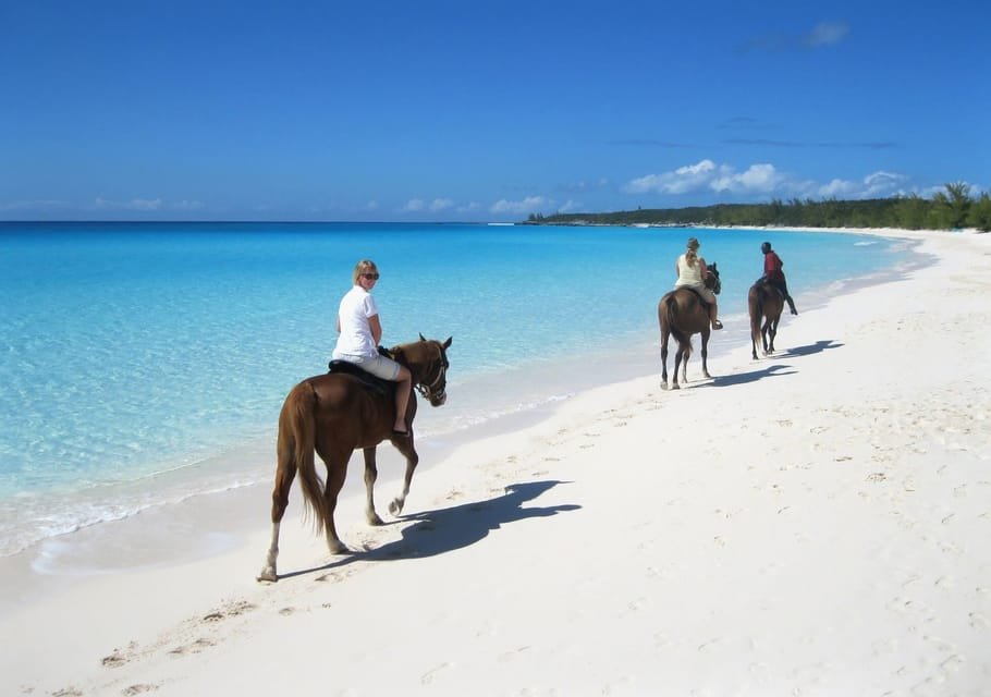 Puerto Plata: Horseback Riding on the Beach - Image 2