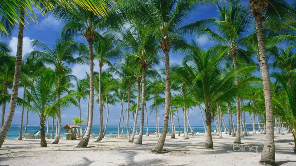 Punta Cana: Catamaran Day Trip to Catalina Island with Lunch - Immagine 2
