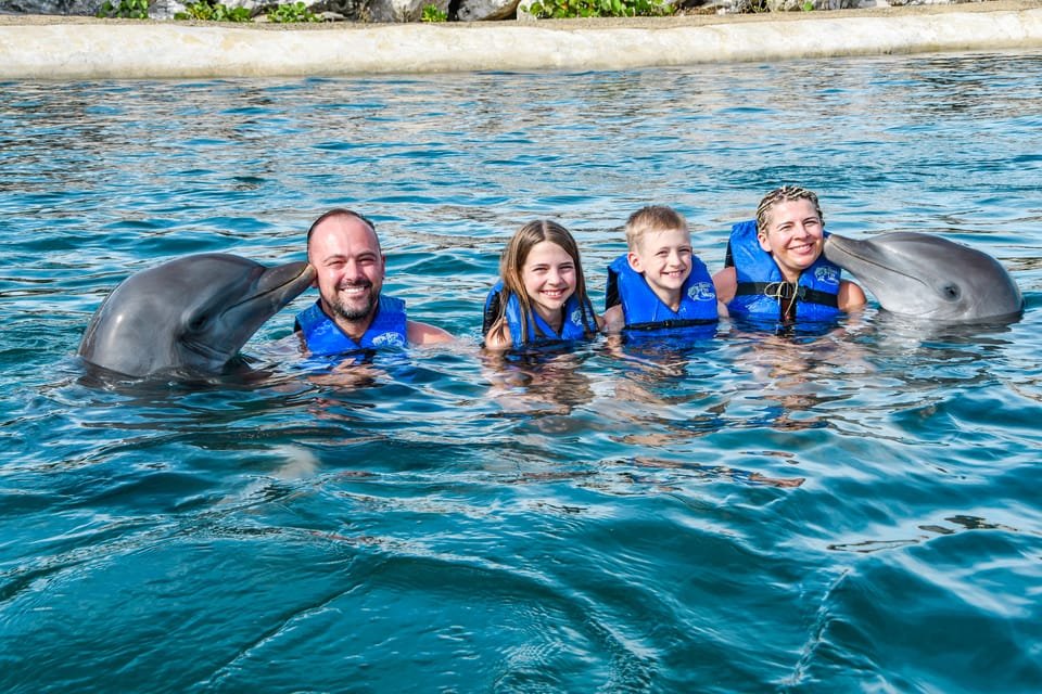 Puerto Plata: Ocean World Adventure Park Swim with Dolphins - Bild 3