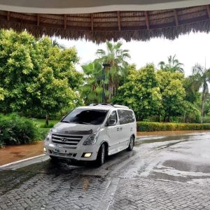 Trasferimento privato dall'aeroporto di Punta Cana a Nickelodeon