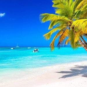 Punta Cana: Tour in barca a Isla Saona, Open Bar e pranzo a buffet
