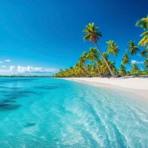Punta Cana: Catalina Island Catamaran Cruise with Snorkeling