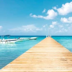 Bayahibe: Escursione di un giorno per l'osservazione delle balene di Samaná e Miches