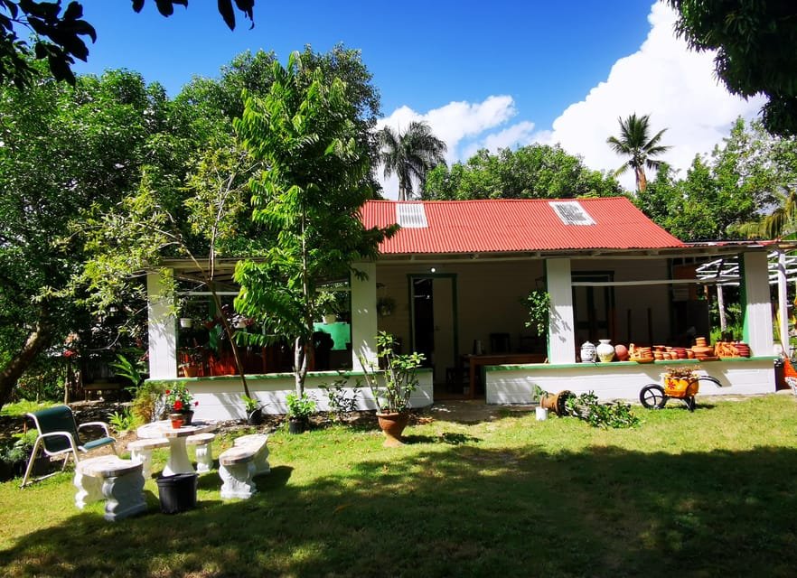 Puerto Plata: Taino Valley and Dominican Flavor Experience - Image 4