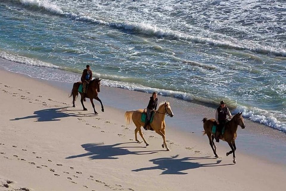 Puerto Plata: Horseback Riding on the Beach - Image 3