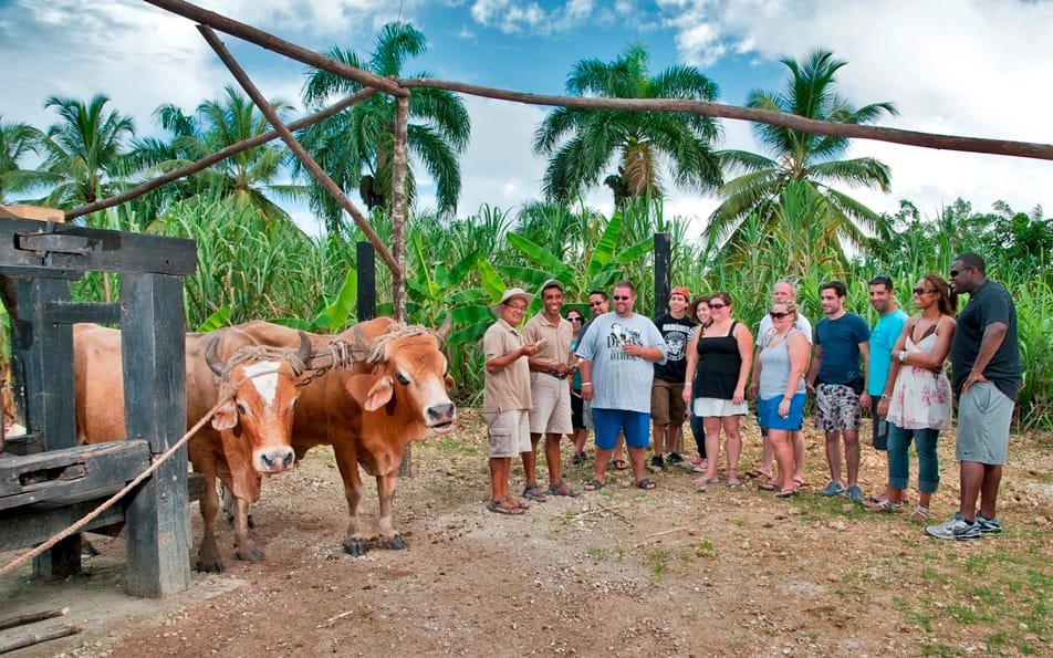 Punta Cana: Bavaro Runners Safari Tour - Image 4