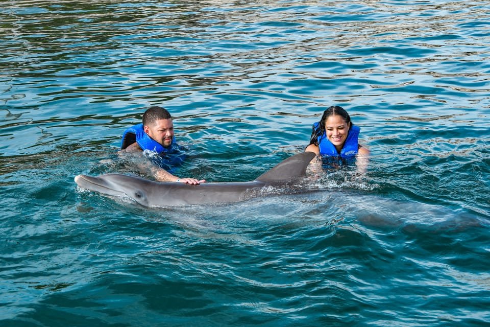 Puerto Plata: Ocean World Adventure Park Swim with Dolphins - Bild 4