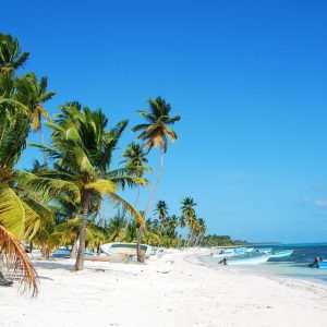 Isola di Saona: Crociera con spiagge e piscine naturali e pranzo