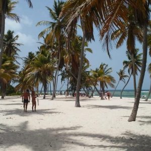 Tour delle delizie dell'isola di Saona da Punta Cana / Bavaro