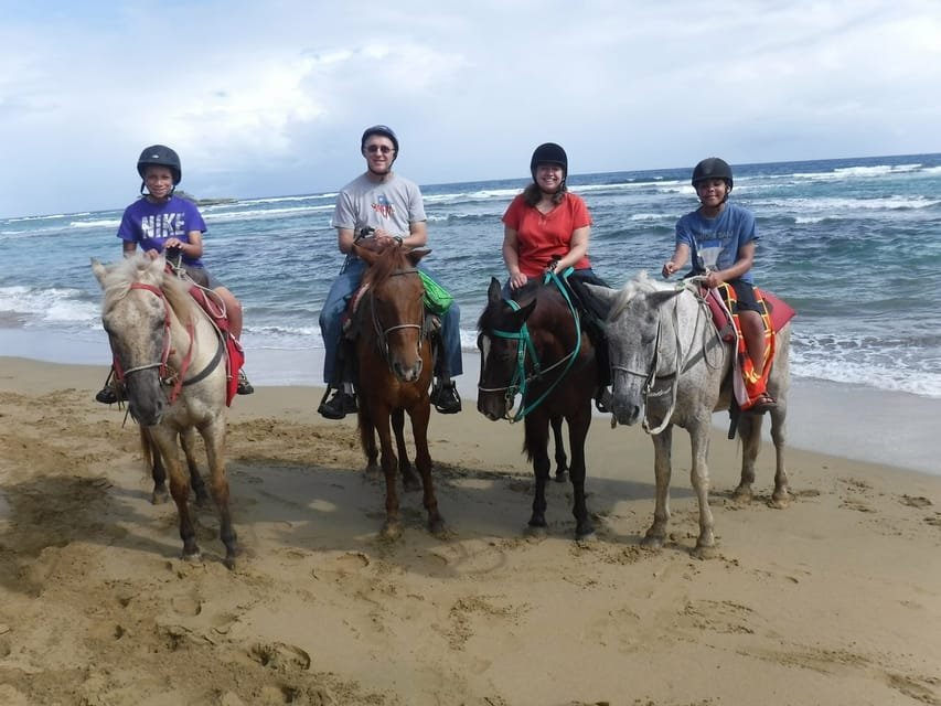 Puerto Plata: Horseback Riding on the Beach - Image 5