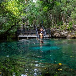 Nuotare nei Cenotes Ojos Indígenas