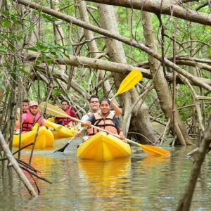 Los Haitises All One: Kayak, escursioni, barca e nuoto