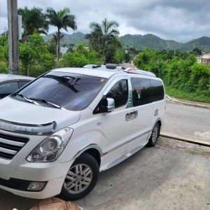Tranasfer privato dall'aeroporto di Punta Cana all'hotel Riu Bambu