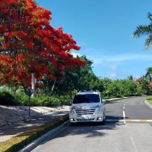 Trasferimento privato dall'aeroporto di Punta Cana a Live Aqua