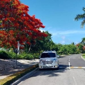 Trasferimento privato dall'aeroporto di Punta Cana all'Iberostar La Hacienda