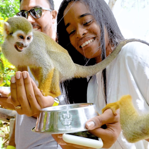 Tour di Monkeyland + trasporto dalla crociera all'hotel
