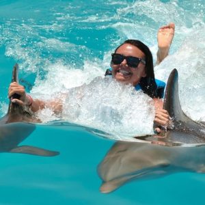 Punta Cana: Objevování delfínů a setkání s nimi