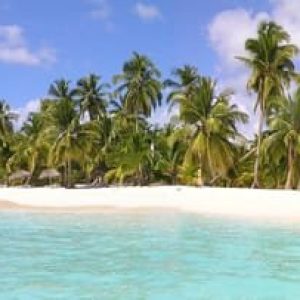 Punta Cana: Escursione di un giorno all'isola di Saona con open bar e pranzo