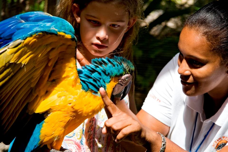 Puerto Plata: Ocean World Adventure Park Day Pass - Image 2