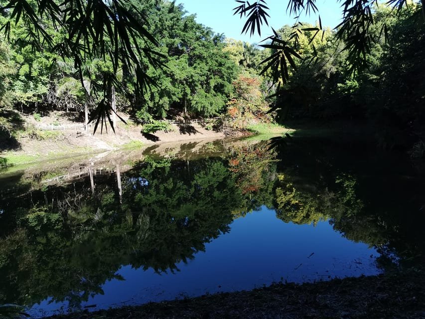 Puerto Plata: Taino Valley and Dominican Flavor Experience - Image 6