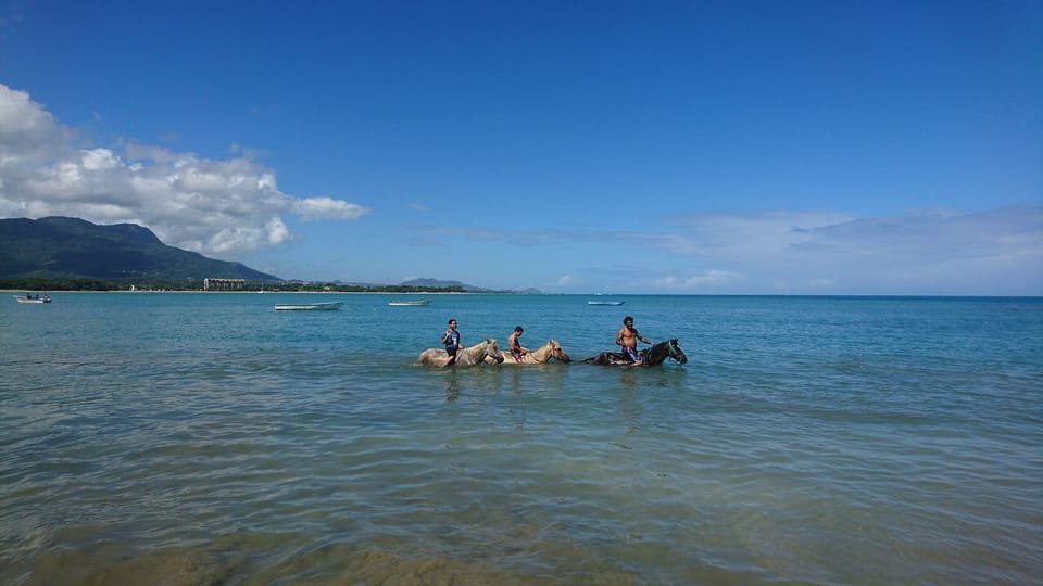 Puerto Plata: Horseback Riding on the Beach - Image 6