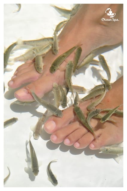 Punta Cana: Adult Only Excursion to the only Floating DaySpa - Immagine 2