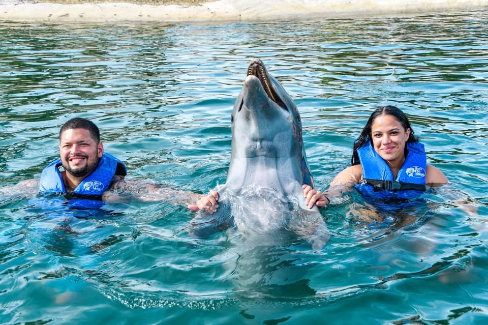 Puerto Plata: Ocean World Adventure Park Schwimmen mit Delphinen