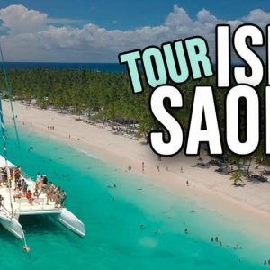 Punta Cana: escursione di un giorno a Isla Saona con festa in catamarano