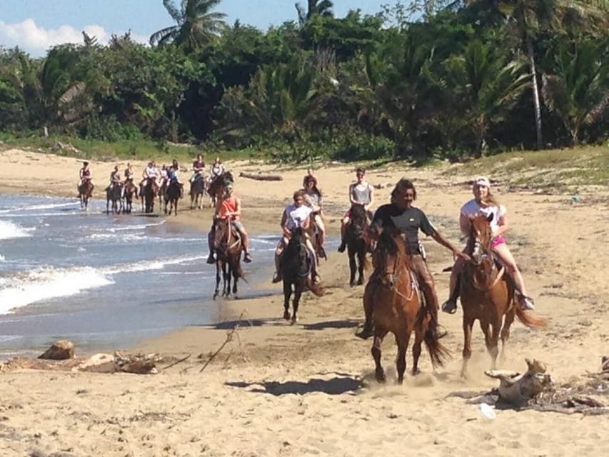 Puerto Plata: Horseback Riding on the Beach - Image 7