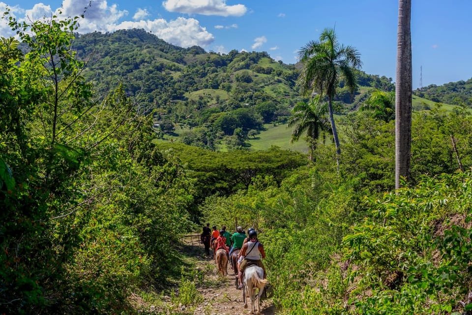 Puerto Plata: Waterfalls, Zip Line Adventure and Horse Ride - Image 2