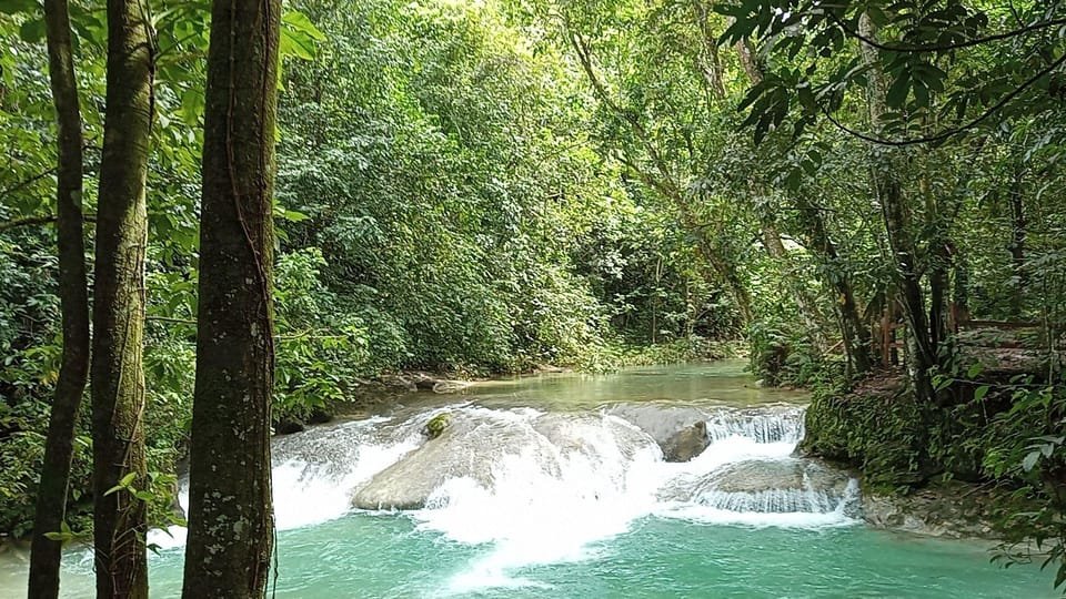 Puerto Plata: Taino Valley and Dominican Flavor Experience - Image 9