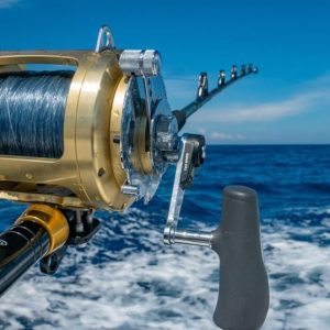 Esperienza di pesca d'altura di 4 ore da Punta Cana